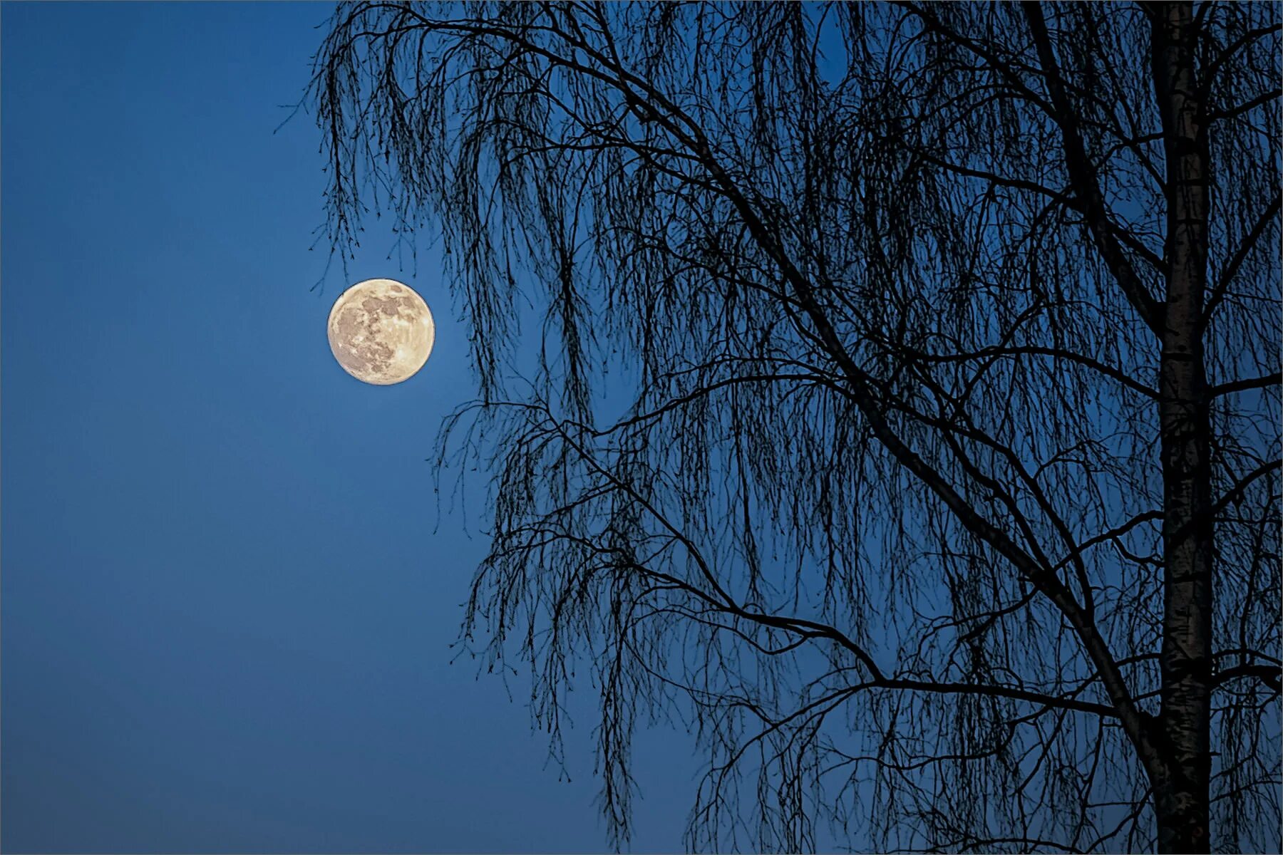 Луна вечером. Ночное море. Полнолуние. Фото вечера луны. Ночной пейзаж.