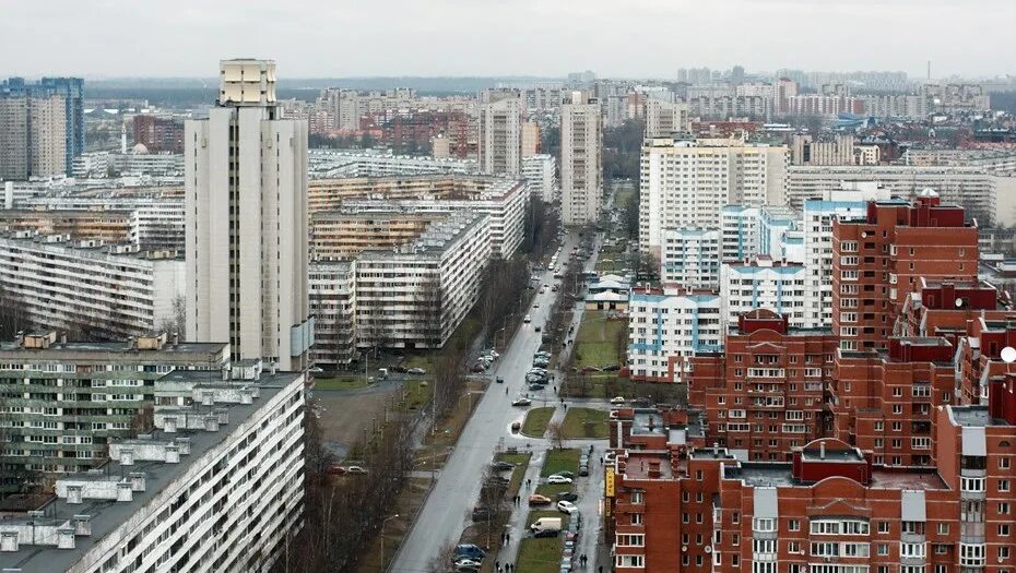 Работа в петербурге приморском районе