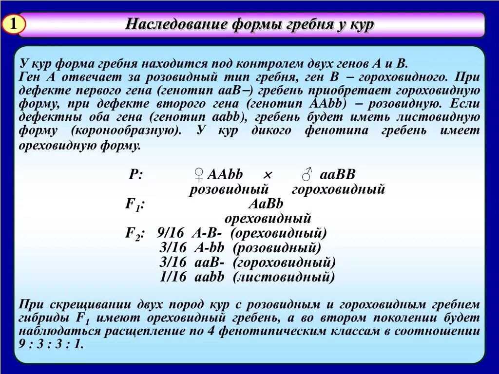 Доминантные признаки у кур. Наследование формы гребня у кур. Генетические задачи куры гребень. У кур розовидный гребень определяется доминантным геном. У кур ген розовидного гребня доминирует над простым гребнем.