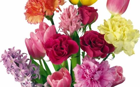 Flower day