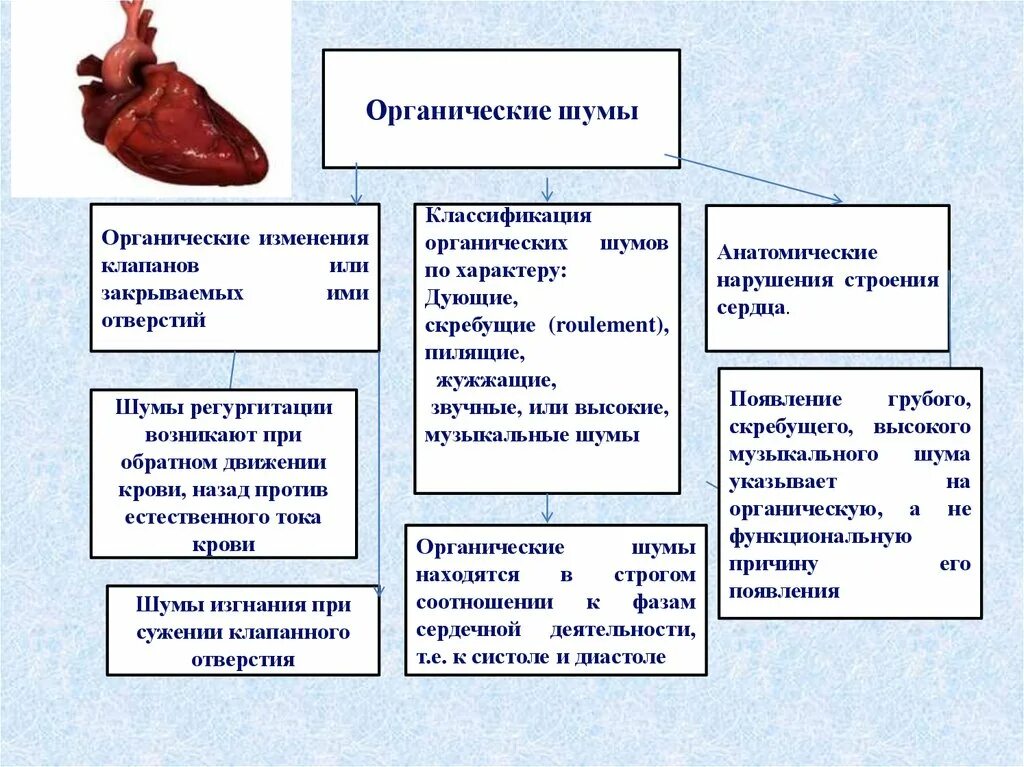 Отличия органических шумов сердца от функциональных. Особенности функциональных шумов сердца. Органические шумы. Органические шумы сердца.