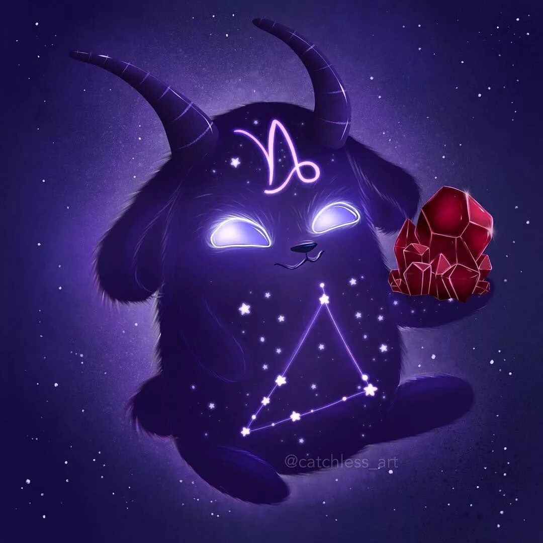 Кот стрелец