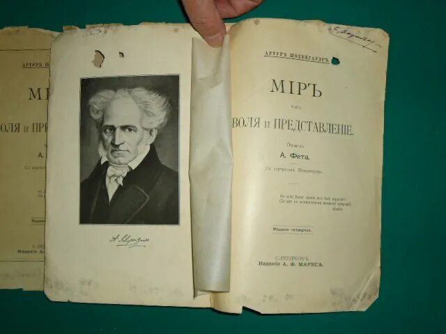 Мир как воля и представление старая. Шопенгауэр мир как воля и представление читать. Закон основания шопенгауэра. Артур шопенгауэр мир как воля. Артур шопенгауэр мир как воля.