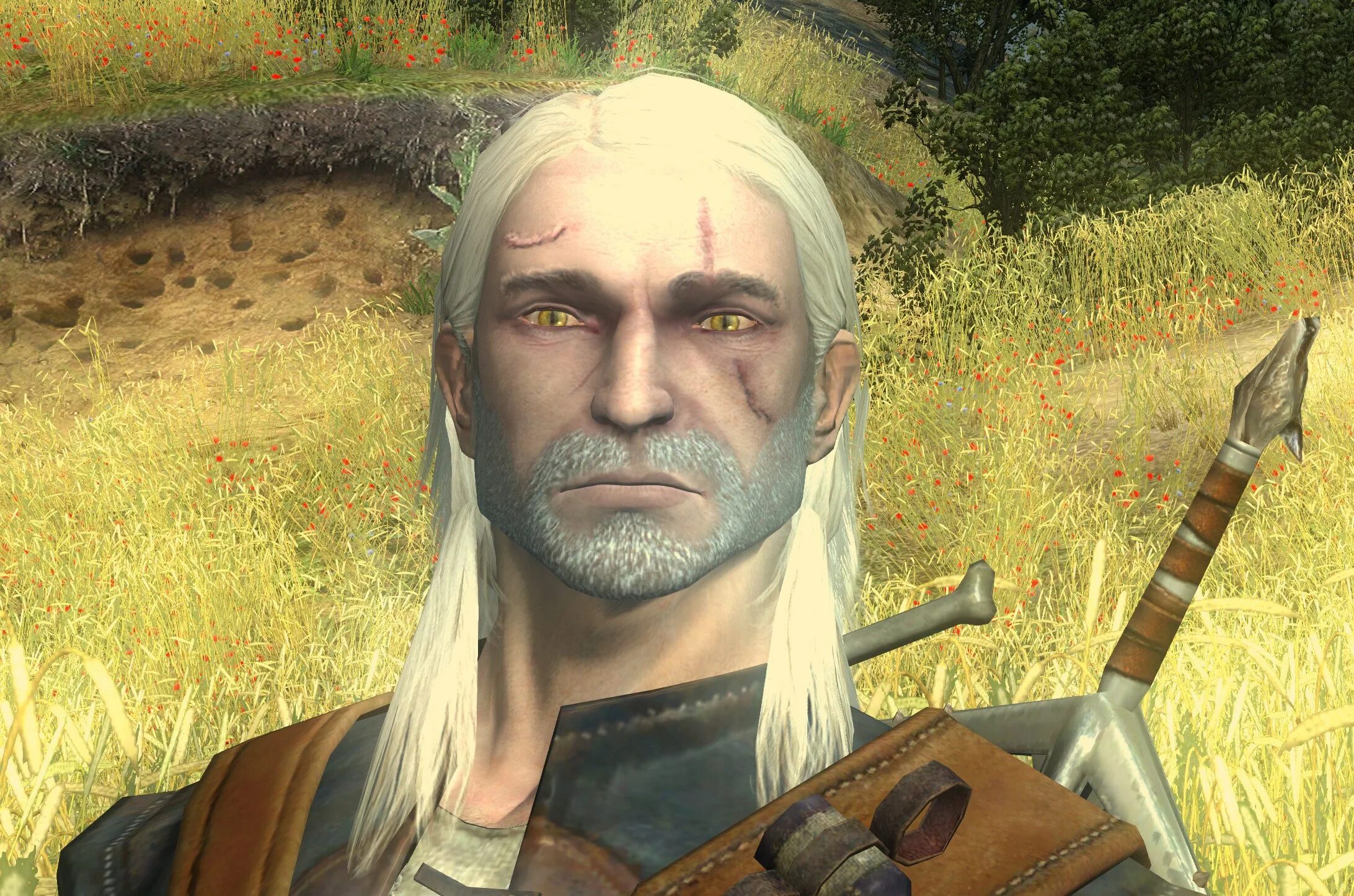 Баргест ведьмак 1. Ведьмак 1 зверь. Ведьмак 1 зверь. Призрачные псы ведьмак. Адская гончая ведьмак 1.