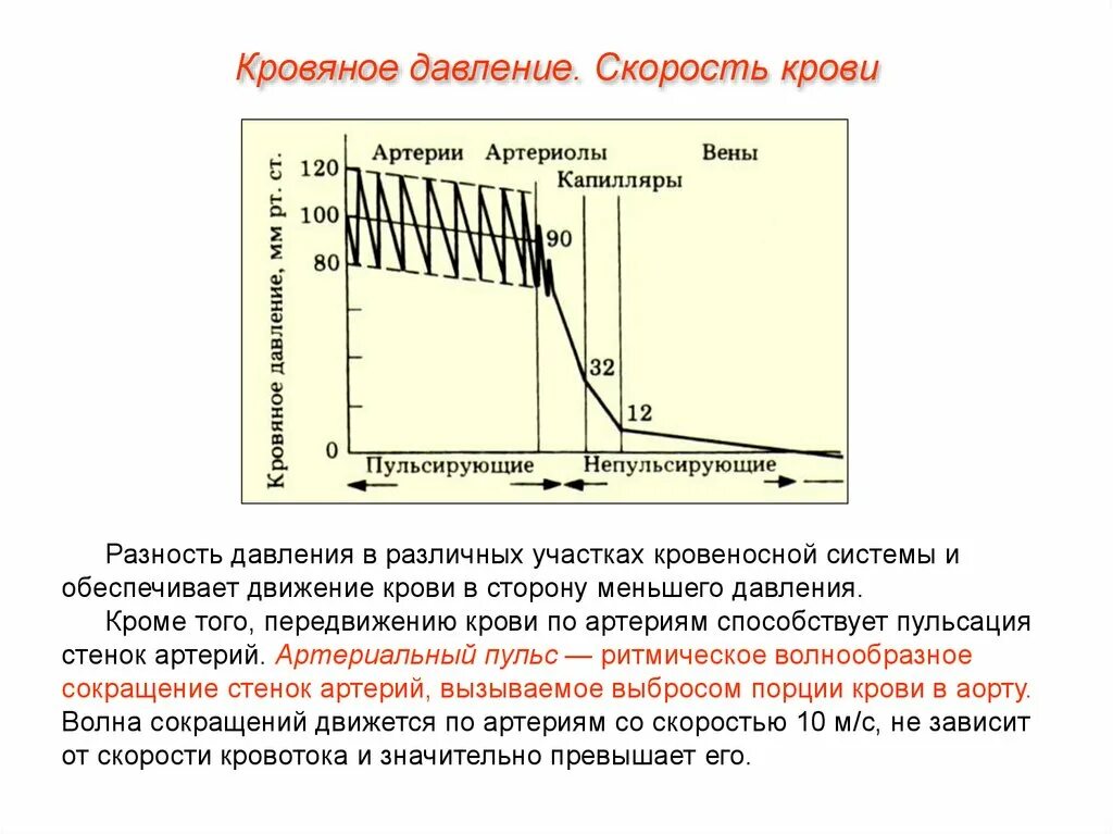 Падение давления крови. Изменение давления крови. Давление крови в различных участках сосудистой системы. Артериолы скорость крови. Какое давление в артериях человека.