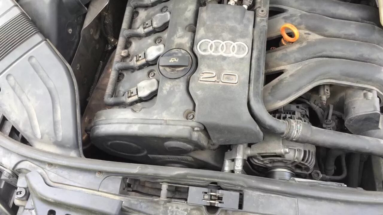 Ауди а4 б7 2.0 алт. Audi a4 b6 2.0 alt. Audi a4 b6 2.0 клапана. Audi a4 b7 alt 2,0 маслоуловитель.