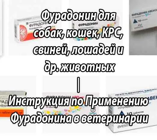 Фурадонин можно котам. Фурадонин от цистита. Фурадонин таблетки. Фурадонин таблетки. Фурадонин суспензия.