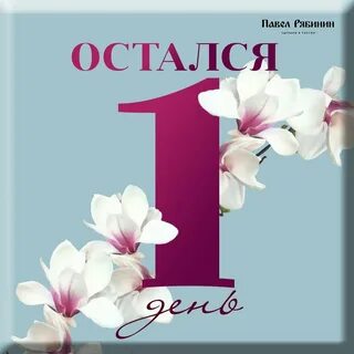 Сколько осталось до 13 августа 2024 года