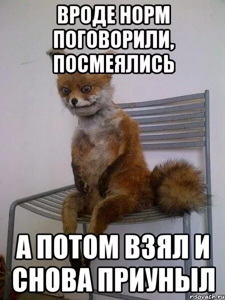 Вроде з