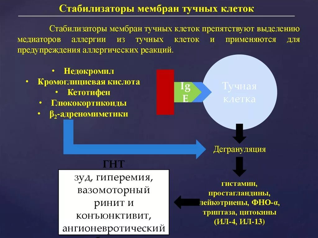 Стабилизаторы тучных клеток при аллергии. Стабилизаторы мембран тучных клеток препараты при аллергии. Стабилизаторы мембран тучных клеток механизм. Стабилизаторы мембран тучных клеток для детей. Препараты стабилизаторы мембран клеток