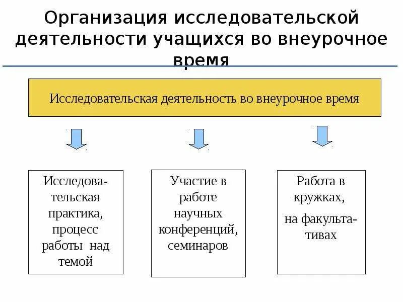 Организовать исследовательскую деятельность