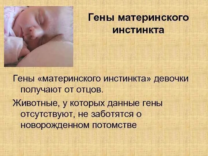 Материнский инстинкт у человека