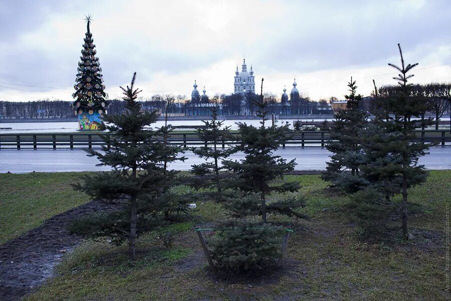 Почему без снега. Зима без снега. Декабрь без снега. Зима без снега фото. Зима Петербург без снега.