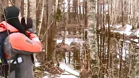 Бандит оказался в теле школьника