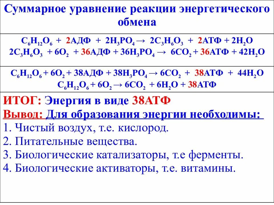 Энергетическим обменом является. Подготовительный этап энергетического обмена схема. Суммарная реакция энергетического обмена. Энергетический обмен веществ этапы. Энергетический обмен схема ЕГЭ.