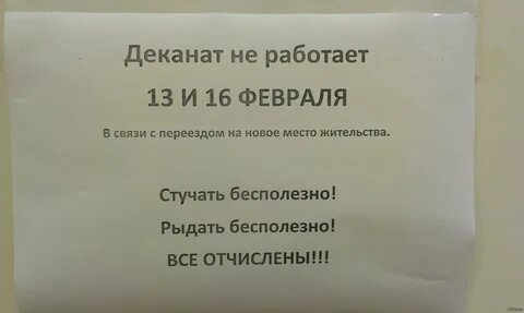 Не работаю на 3 курсе