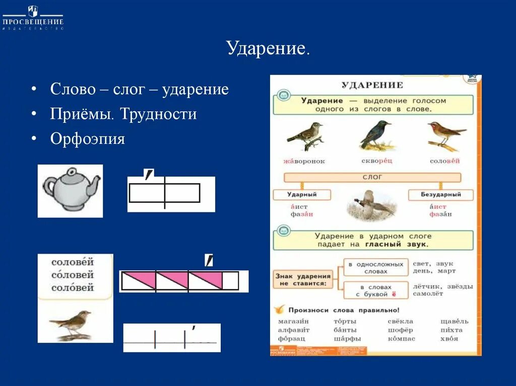 Ударный слог в слове соловей. Слог ударение. Слово слог ударение. Схемы слогов с ударением. Ударение в слове Соловей.