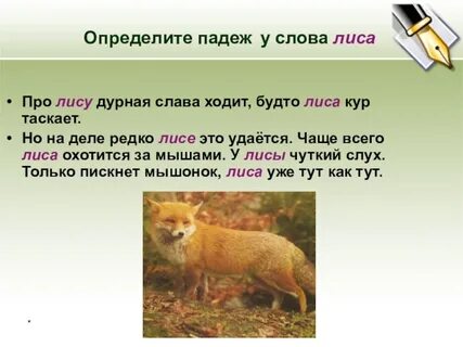 Рыжая лисица какой падеж