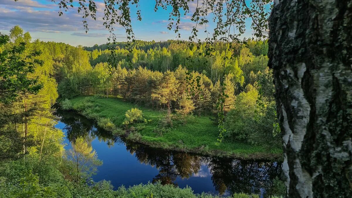 Псковская область алтайский край