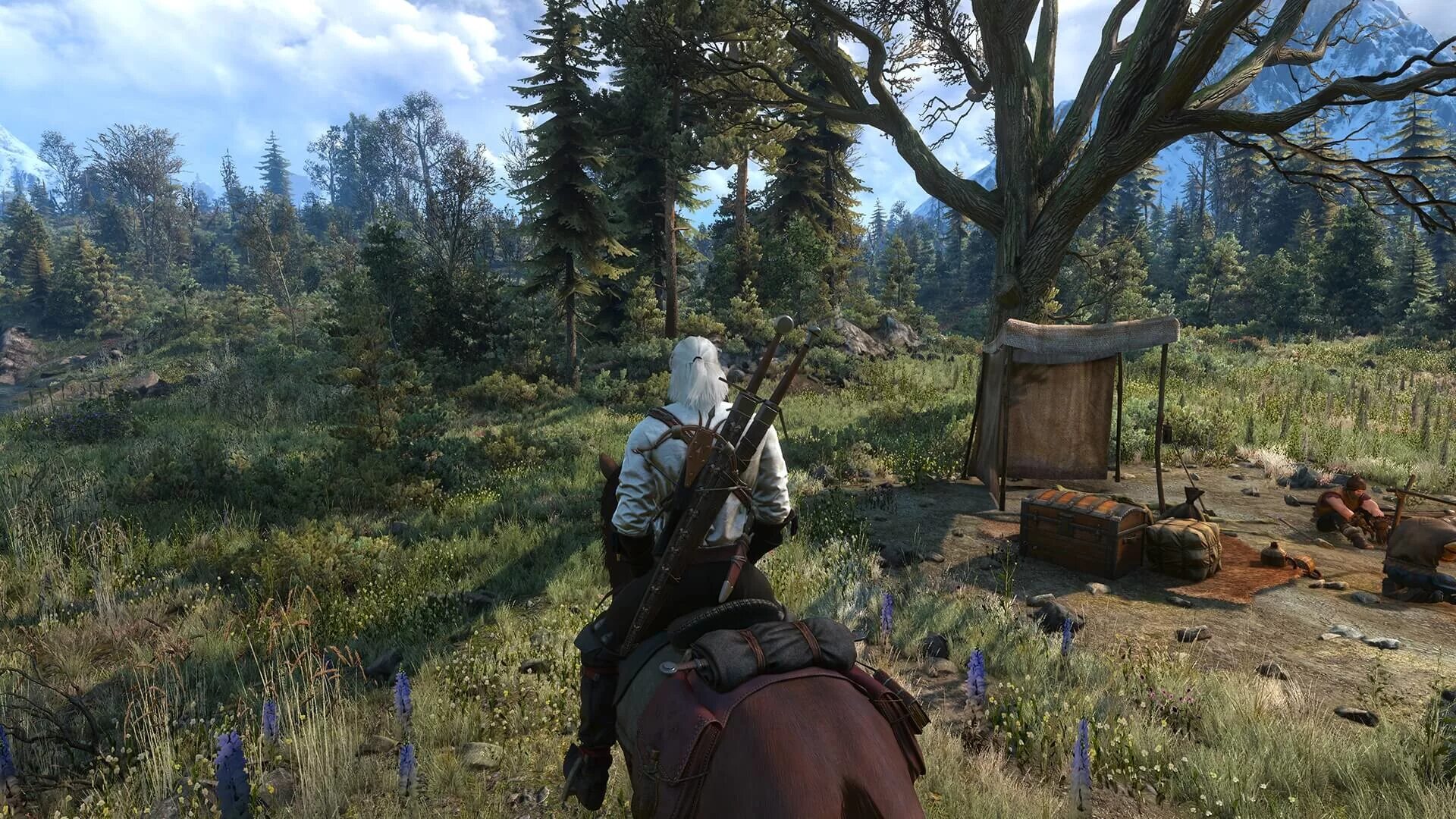 Ведьмак улучшенные. Ведьмак 3 трава. 2k grass Witcher. Ведьмак травы. Ведьмак игра 3 версия 1.31.