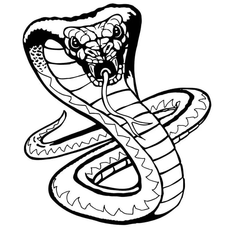 Раскраска змей для детей. Змея раскраска. Раскраска о змеях. Змея раскраска для детей. Раскраски для мальчиков змеи.