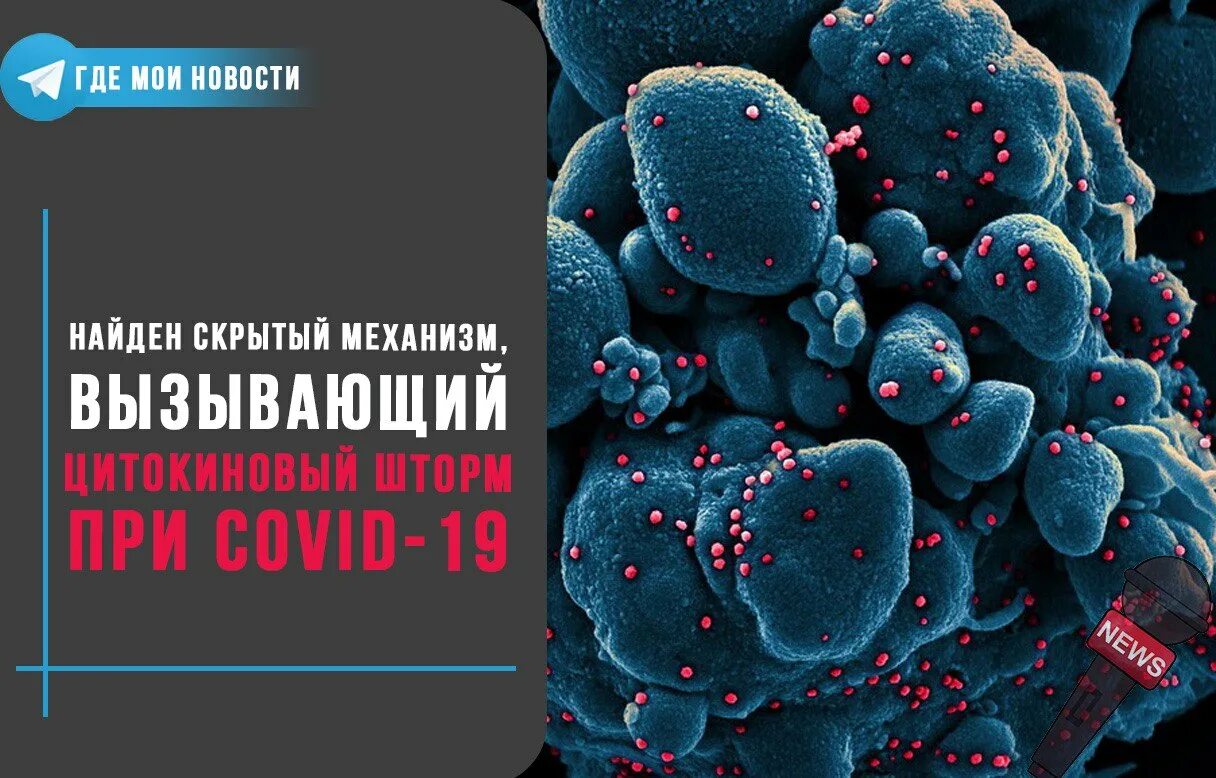Заражение project
