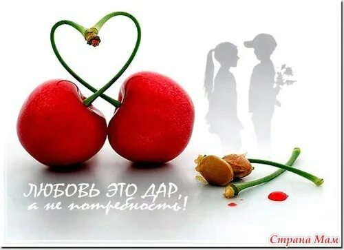 Магнитик любовь это роллы. Накал страстей картинка. Любовь мем. Отпуск картинки прикольные. Анекдоты в картинках про любовь.