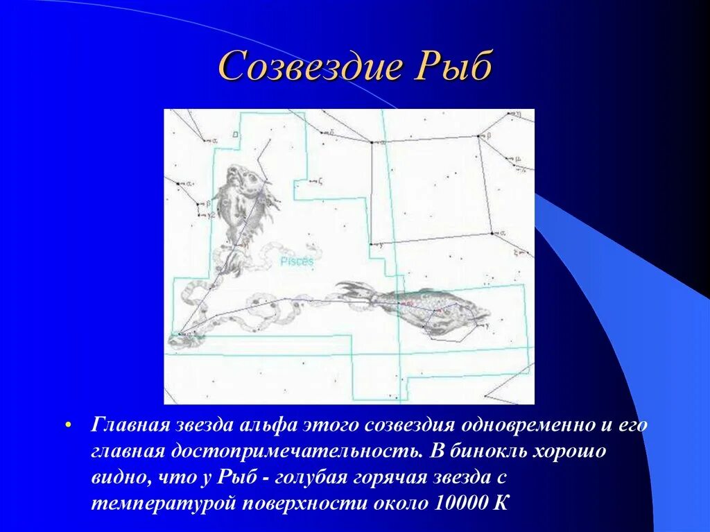 Осенние созвездия рассказы. Созвездие рыбы. Рассказ о созвездии рыбы. Созвездие рыбы описание. Зодиакальное Созвездие рыбы.