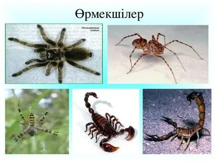 Кеуделері бар смайлик