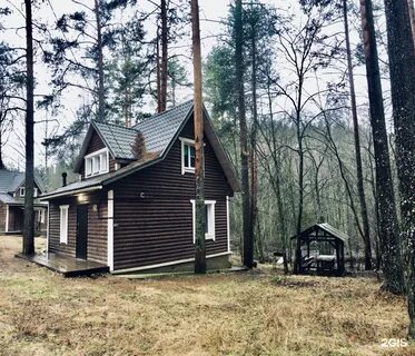 Погода в петяярви