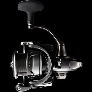 Daiwa caldia