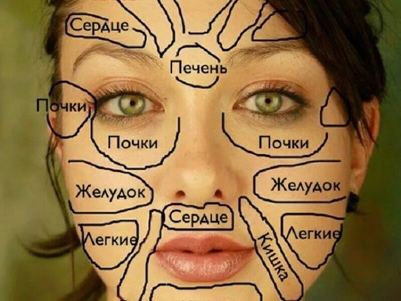 Подбородок какой орган. Карта лица. карта прыщей на лице. зоны органов на лице. место расположения прыщей на лице.