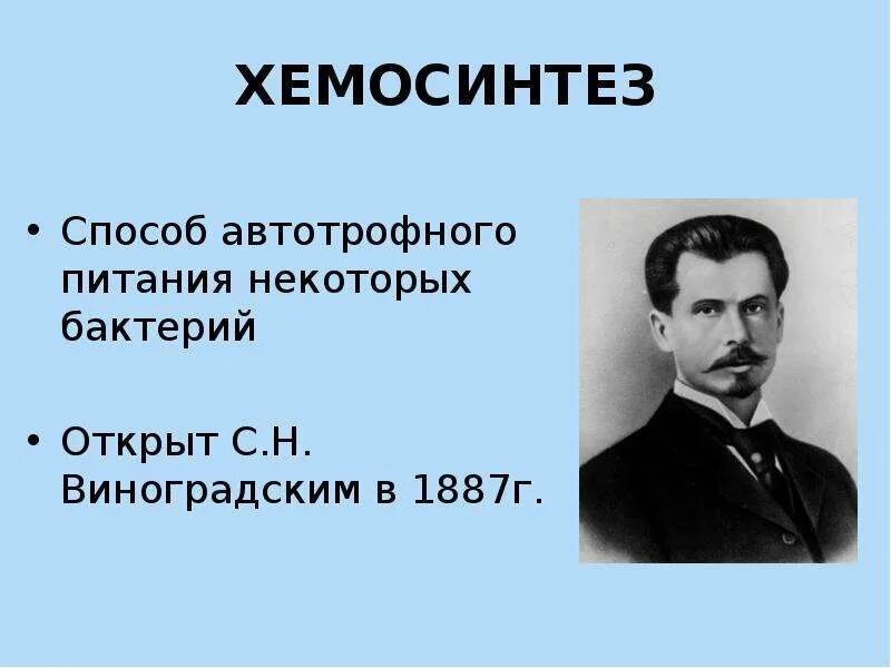 Виноградский в г. Хемосинтез открыл в 1887. виноградский хемосинтез. виноградский открыл хемосинтез. с н виноградский хемосинтез.
