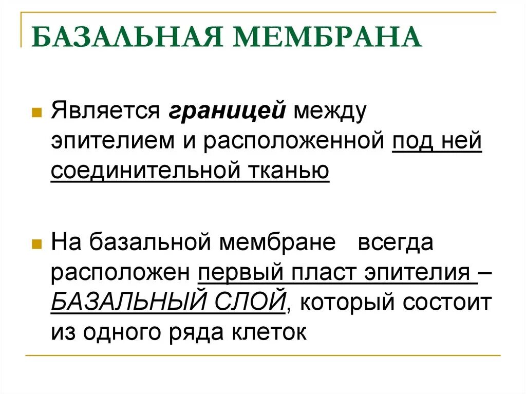 Строение и роль базальной мембраны. Строение и функции базальной мембраны. Базальная мембрана кожи функции. Базальная мембрана гистология функции. Базальная мембрана функции