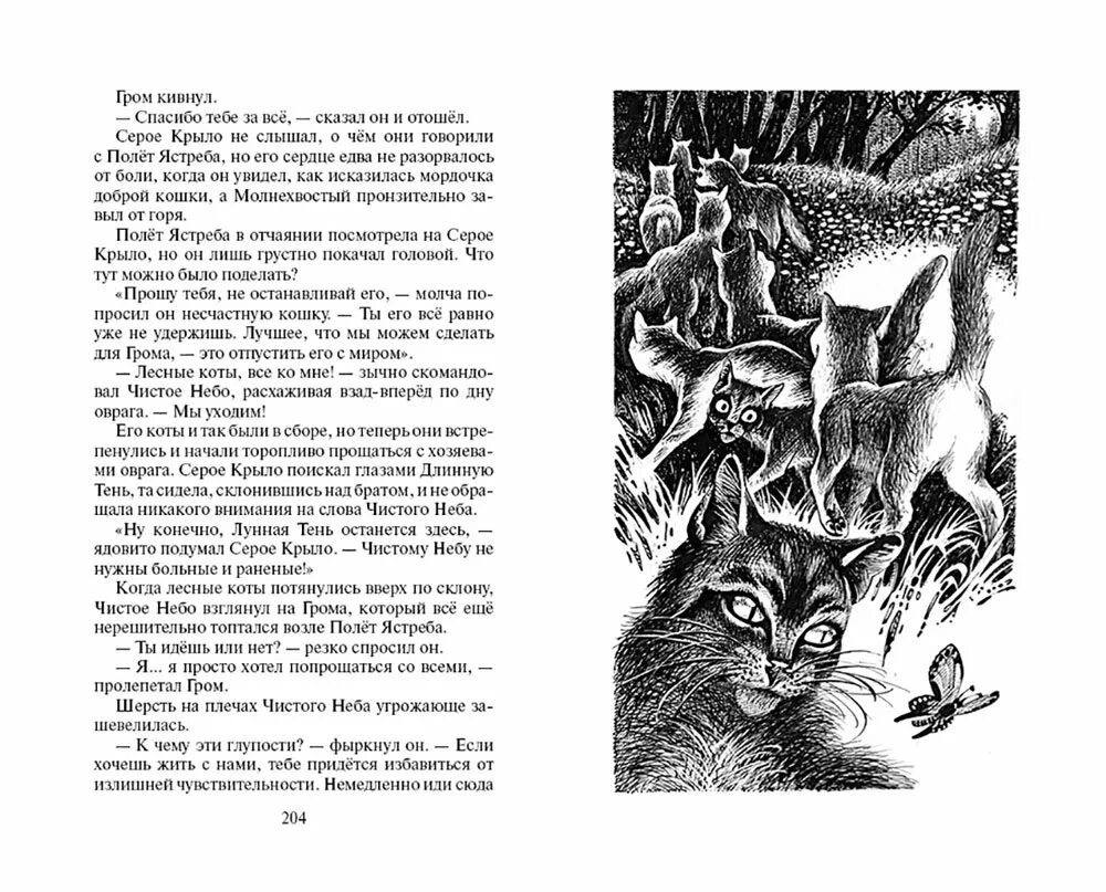 Коты воители 1 цикл. Хантер эрин &quot;юность грома&quot;. коты воители книга юность грома. юность грома эрин хантер книга. коты-воители. начало племен. юность грома.