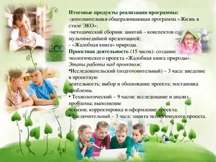 Описание эко