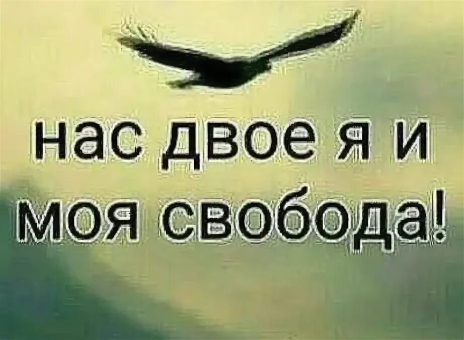 Нас по прежнему двое я и моя свобода. Свобода летов. Девушка отпускает. Нас по прежнему двое я и моя. Любовь свобода счастье.