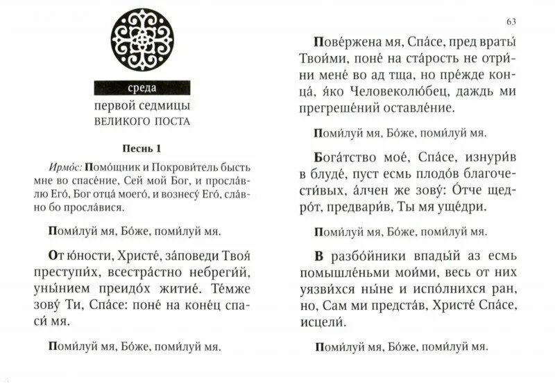 Покаянный канон к богородице читать на русском. Мариино стояние Великий покаянный канон. Канон Андрея Критского среда. 12 Страстных Евангелий текст на русском читать. Двенадцать страстных Евангелий купить книгу.