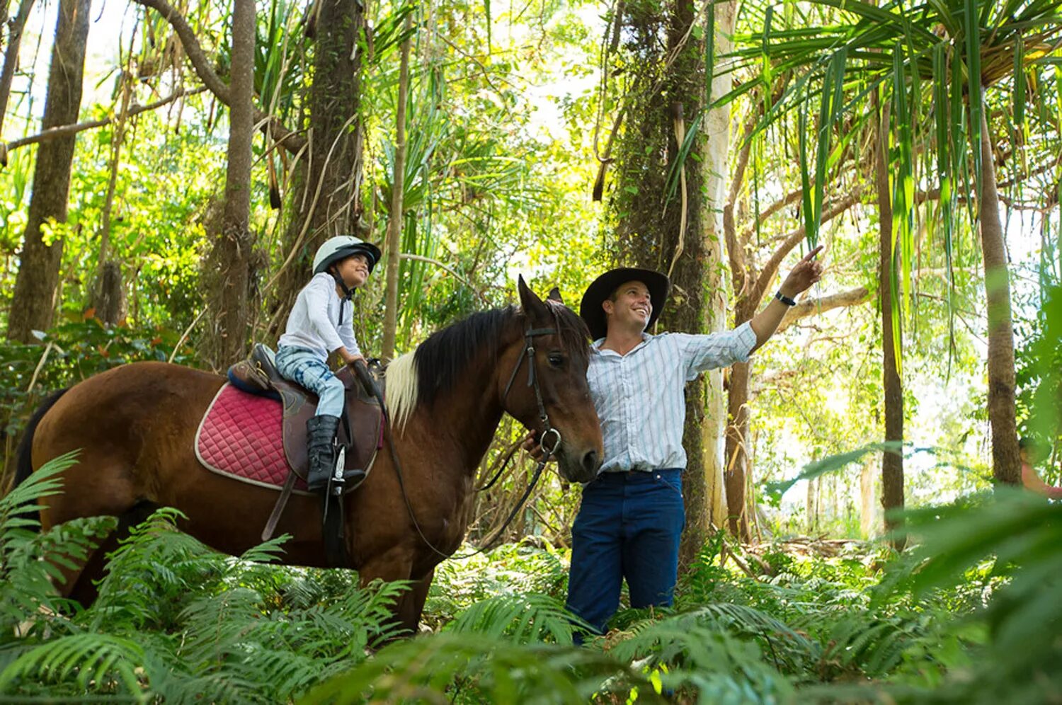 Bodrum Horse riding. Horseback Ride through Upcountry Maui. Horses of the Forest. Horse riding Challenge.