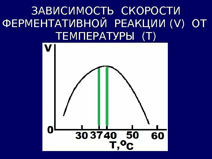 Зависимость скорости реакции от температуры определяется. График зависимости скорости ферментативной реакции от температуры. зависимость скорости ферментативной реакции от температуры. 3. зависимость скорости ферментативной реакции от температуры. опишите зависимость скорости ферментативной реакции от температуры.