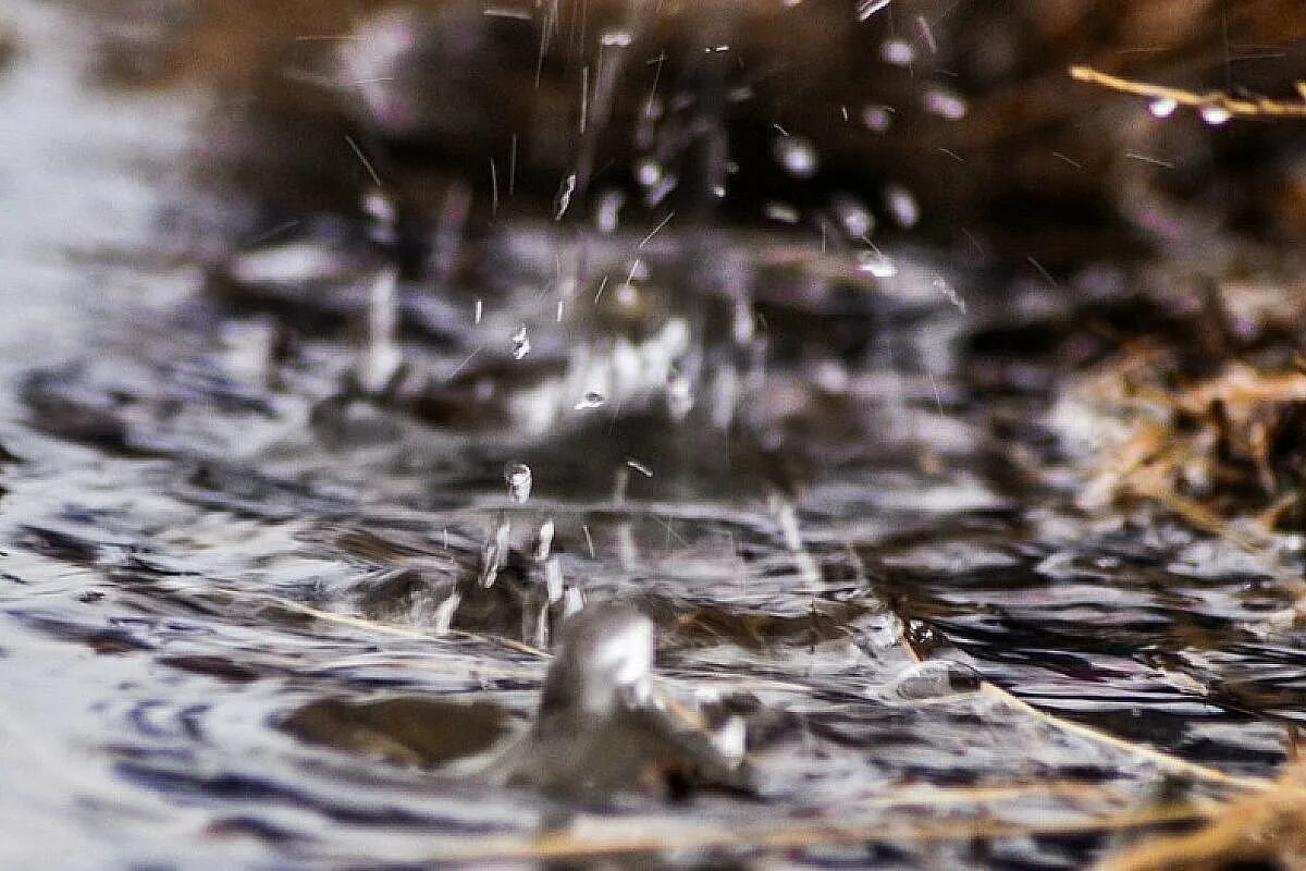 Liberty orange rain intense. Rain warning. Капли дождя падают на землю. Dost- pagasa rainfall warning system. Liberty orange rain intense.