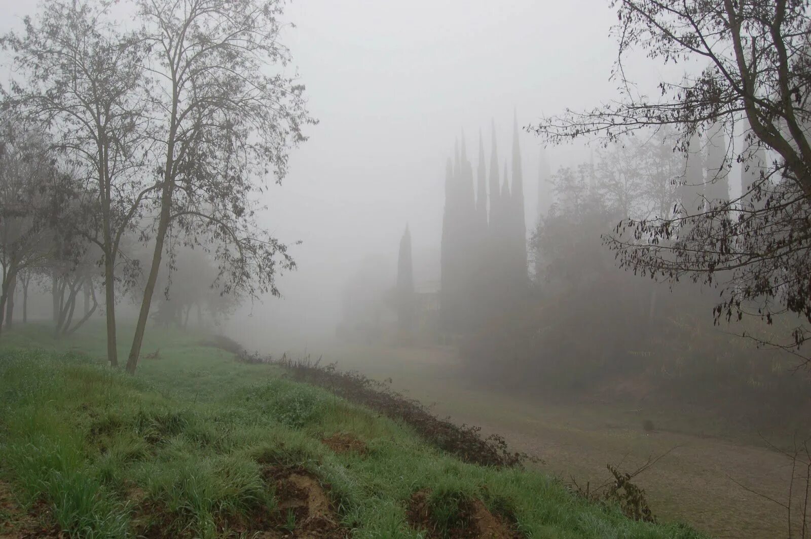 The weather is foggy