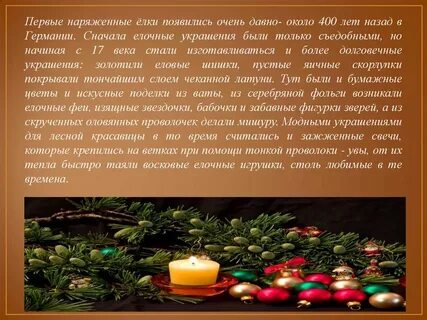 Когда появились ели