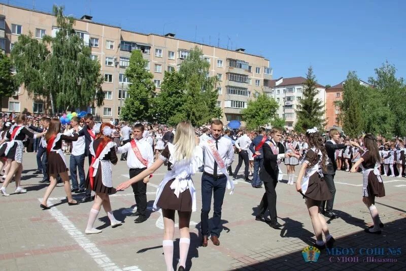 Шебекино события. Шебекино белгородская область население. население города шебекино. шебекино 2012. шебекино белгородская область сейчас.
