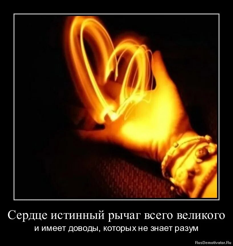 Либо со мной либо без меня. Высказывания про интеллект. Чистый разум цитаты. Разум цитаты. Охотники за разумом цитаты и фразы.