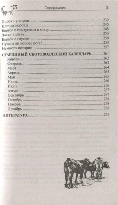 Клички телятам бычкам. Клички коров. Красивые имена для коров. Кличка теленка. Клички для коров девочек.