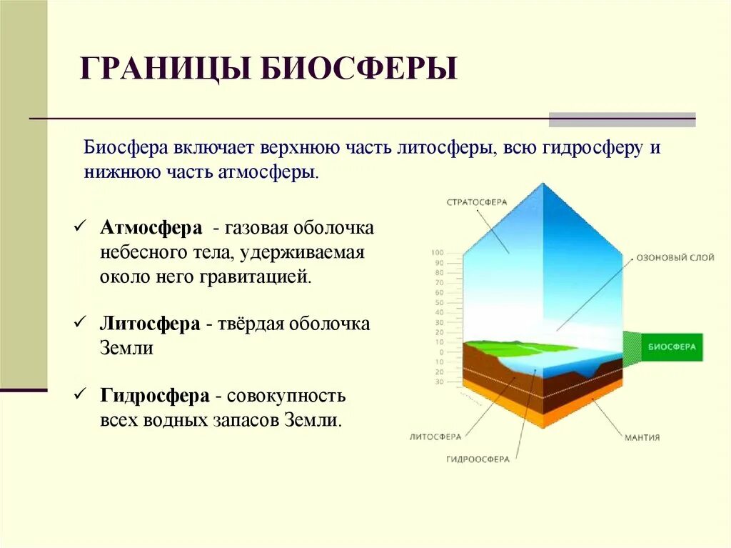 Биосфера сообщение по географии. Схема границы биосферы 6 класс. Состав и границы биосферы география 6 класс. Нижняя граница литосферы. Биосфера земная оболочка 6 класс география.