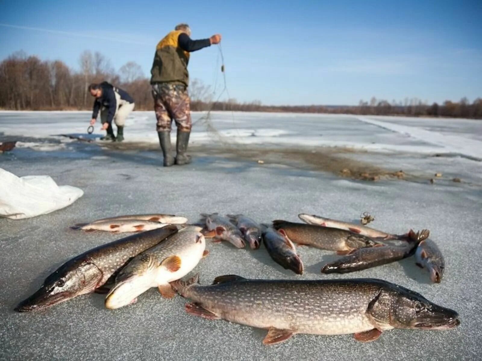 Зимняя рыбалка. Улов рыбы. Зимняя рыбалка на реке. Рыбалка фото. Улов зимой