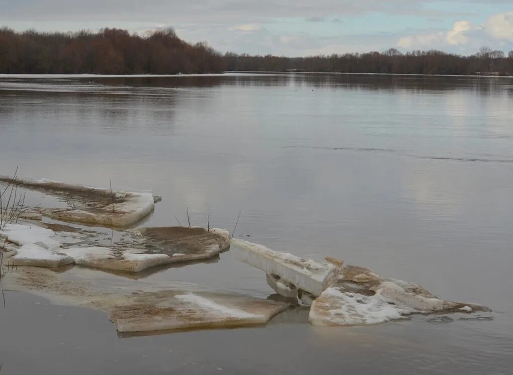 Паводки затопили участок. Половодье Рязань. Уровень воды Ока Рязань. Ока Весеннее половодье 1994.