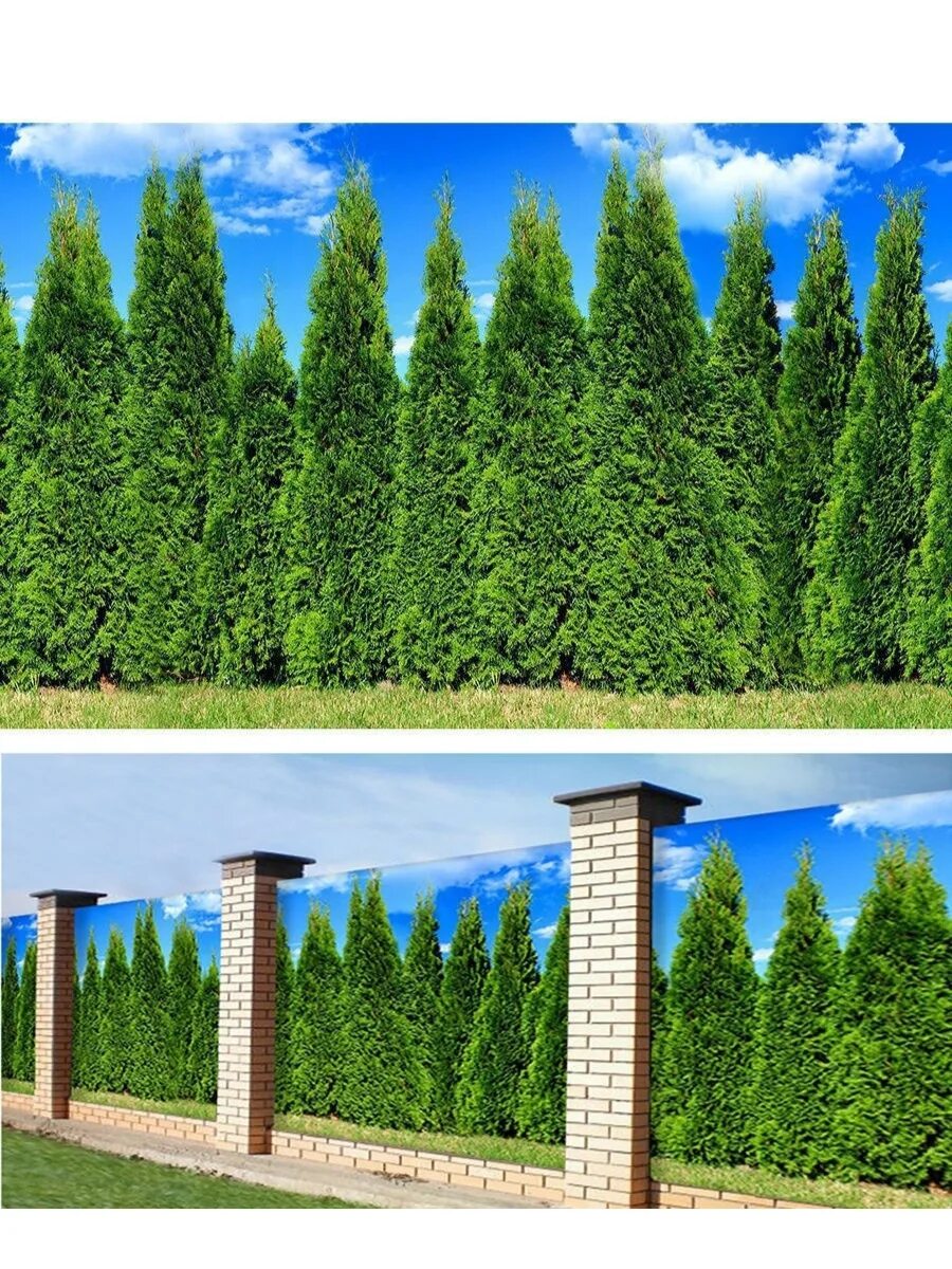 Фотосетка на забор отзывы. Фотосетка мечта 300x158 см, "штакетник". Фотосетка для веранды. Фотосетка на забор отзывы. Фотосетка для забора.